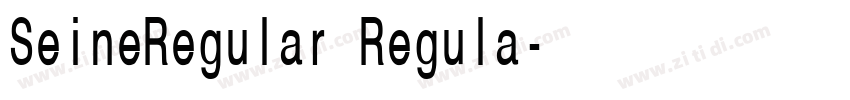 SeineRegular Regula字体转换